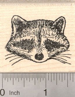 Raccoon Rubber Stamps (RubberHedgehog.com) Racoon Tattoo, Raccoon Face, Raccoon Tattoo, Lino Art, Ohio Usa, Dream Tattoos, Face Tattoo, Tattoos Gallery, Racoon