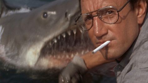 Jaws Film, Jaws 3, Jaws 1975, Roy Scheider, Jaws Movie, Movie Franchises, Santa Claws, Shakespeare In Love, The Shawshank Redemption