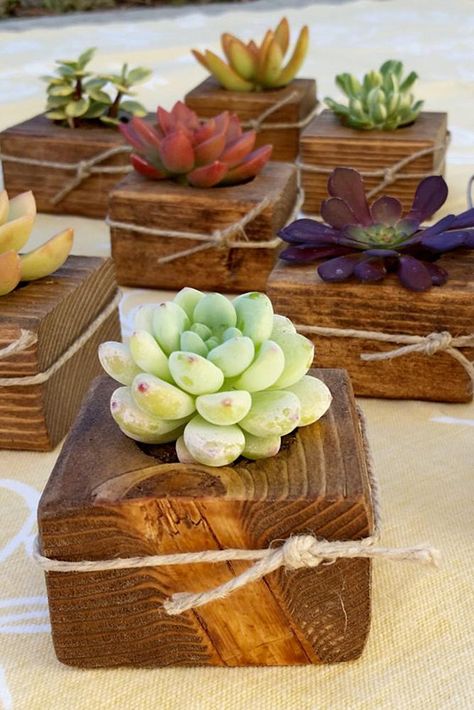 Gift Ideas For Wedding Guests, Bridal Favours, Gift Ideas For Wedding, Wedding Shower Cupcakes, Simple Bridal Shower Decorations, Bridal Shower Decorations Elegant, Rustic Bridal Shower Favors, Diy Favors, Bridal Shower Decorations Rustic