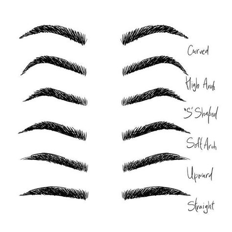 Brow Shaping Tutorial, Piercing Eyebrow, Types Of Eyebrows, Eyebrow Styles, Eyebrow Stamp, Eyebrow Hacks, Beautiful Eyebrows, How To Draw Eyebrows, Best Eyebrow Products