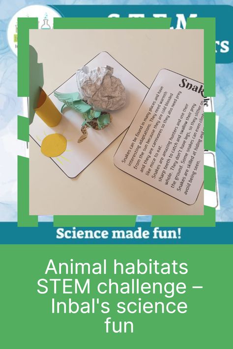 Welcome to the Animal Habitat STEM Challenge! This engaging activity will allow your elementary school students to explore the fascinating world of animal habitats while enhancing their STEM skills. In this challenge, students will design and build model animal habitats. Animal Stem Activities, Habitat Activities, Animal Habitat, Different Types Of Animals, Stem Lesson, Animal Adaptations, Stem Challenge, Stem Challenges, Animal Habitats