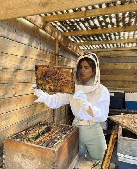 Apiary Beekeeping, Honey Bee Farming, Animal Infographic, Beekeeping For Beginners, Honey Photography, Backyard Beekeeping, Honey Shop, Negin Mirsalehi, Honey Bee Hives