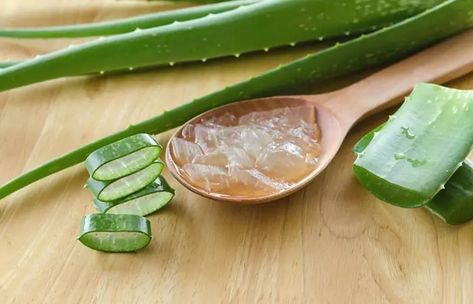 How To Use Aloe Vera To Treat Burns Aloe Vera Jelly, Aloe Vera Benefits, Natural Kitchen, Good Health Tips, Aloe Vera Gel, Healthy Nutrition, Health Diet, Nutrition Tips, Fitness Nutrition