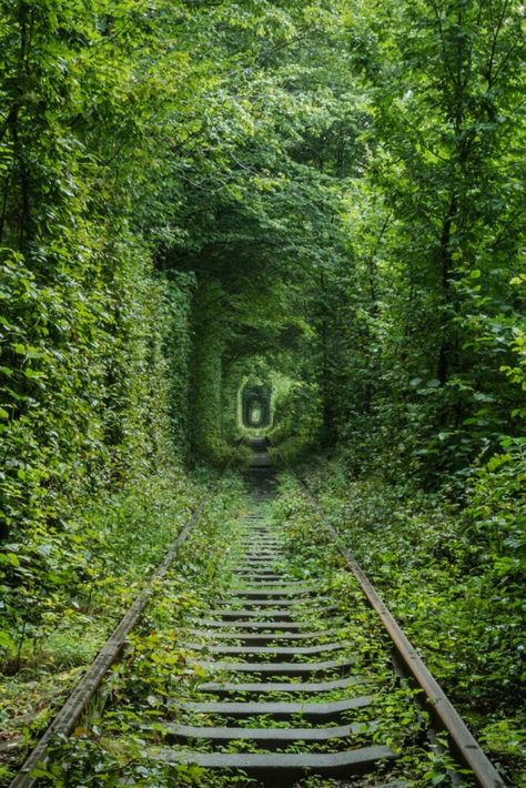 Apocalypse Aesthetic, Tree Tunnel, Tunnel Of Love, Forest Wall Mural, Train Tracks, Abandoned Buildings, Post Apocalyptic, Magical Places, Abandoned Places