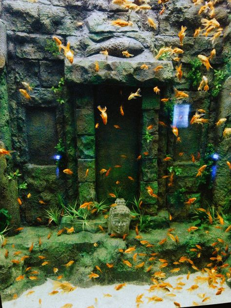 Fishes Aesthetic, Tank Terrarium, Goldfish Aquarium, Fish Tank Terrarium, Tropical Freshwater Fish, Aquarium Landscape, Pet Ideas, Fish Tanks, Landscape Decor