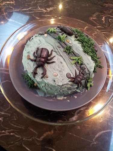 Beetle cake by ladypilot84, via Flickr Insect Birthday Cake, Insects Cake Ideas, Beetle Cake, Bug Cake Ideas, Goth Cake, Bug Cakes For Boys, Goth Cakes, Bug Cake, Yule Log