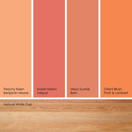 Peach Color Bathroom, Kitchen Benjamin Moore, Accent Wall Kitchen, Orange Paint Colors, Girl's Rooms, Trendy Kitchen Colors, Bathroom Paint, Interior Color Schemes, Kitchen Wall Colors