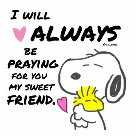 Always think and pray for my dear friends, part of friendship wanting them to be truly happy. Charlie Brown Quotes, Snoopy Cartoon, Everyday Prayers, Quotes Friendship, Snoopy Quotes, Snoopy Pictures, Snoopy Love, Prayers For Healing, Charlie Brown And Snoopy