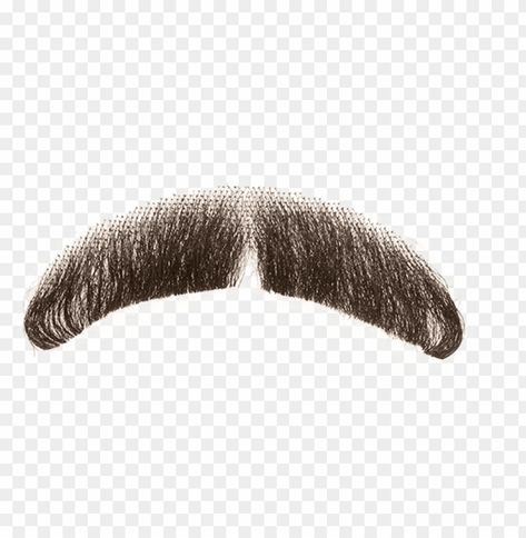 Fake Moustache, Mustache Png, Beard Png, Meme Png, Funny Png, Fake Mustache, French Mustache, Horseshoe Mustache, Realistic Costumes