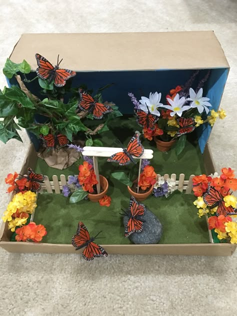 Butterfly diorama Diy Butterfly Habitat, Butterfly Project Ideas, Caterpillar Habitat, Animal Habitat Diorama, Butterfly Life Cycle Project, Insect Diorama, Butterfly Diorama, School Butterfly Garden, Butterfly Life Cycle Preschool