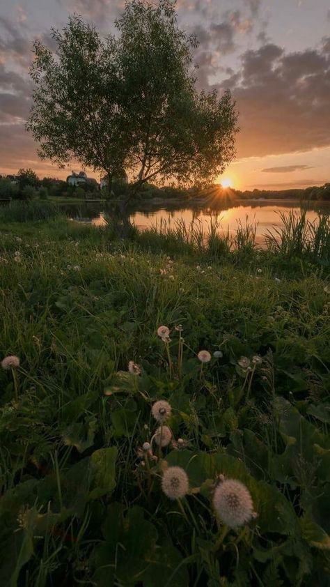 Pretty Nature, Pretty Landscapes, Pretty Sky, Spring Aesthetic, Pretty Photos, Sunset Pictures, Alam Yang Indah, Nature Aesthetic, The Grass