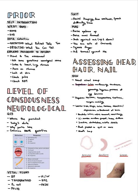 Head To Toe Assessment Nursing, Assessment Nursing, Nursing Printables, Breath Sounds, Nursing 101, Nursing School Motivation, Fundamentals Of Nursing, Nursing School Studying, Nursing School Notes