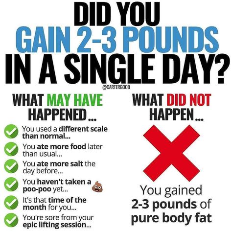 Weight Fluctuation, Stubborn Belly Fat, Singles Day, It's Hard, Fitness Nutrition, Body Fat, Health And Nutrition, Weight Gain, Body Weight