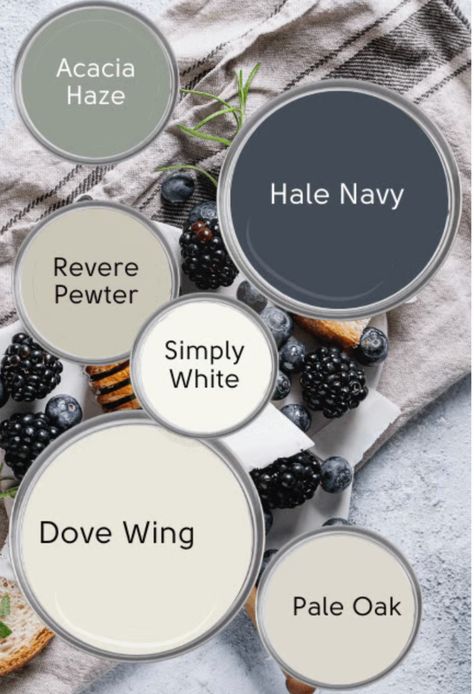 Dove Wing Benjamin Moore, Pewter Benjamin Moore, Dove Wing, Balboa Mist, Revere Pewter Benjamin Moore, Hale Navy, House Paint Interior, Off White Paints, House Color Palettes