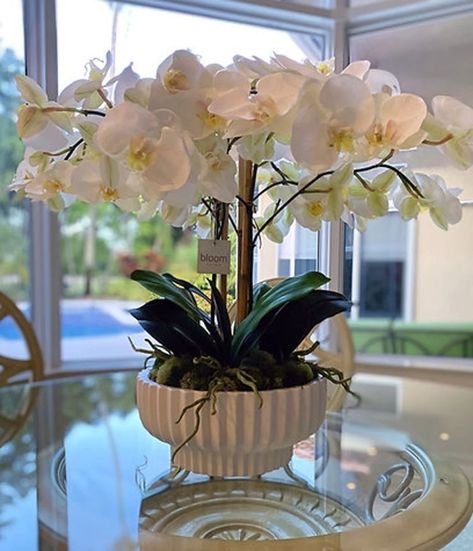 Coffee Table Living Room Ideas, Centerpieces Dining Table, Table Centerpieces Ideas, Dining Table Centerpiece Ideas, Centerpiece Dining Table, Orchid Centerpieces Wedding, Table Decor Dining Room, Dining Table Centerpieces, Design Dining Table