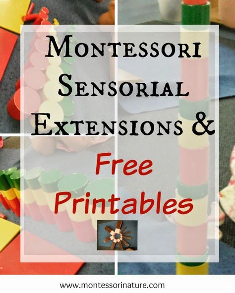 Montessori Trays, I Am Committed, Montessori Printables, Montessori Lessons, Montessori Diy, Montessori Room, Montessori Homeschool, Free Handwriting, Montessori Practical Life