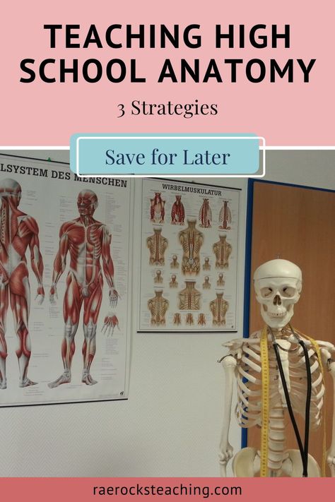 High School Science Homeschool, Anatomy Projects High School, Health Science Projects High Schools, Health Science Activities High School, Sports Medicine High School Classroom, Anatomy Activities High School, High School Anatomy And Physiology Activities, Health Science Classroom High School, High School Anatomy And Physiology