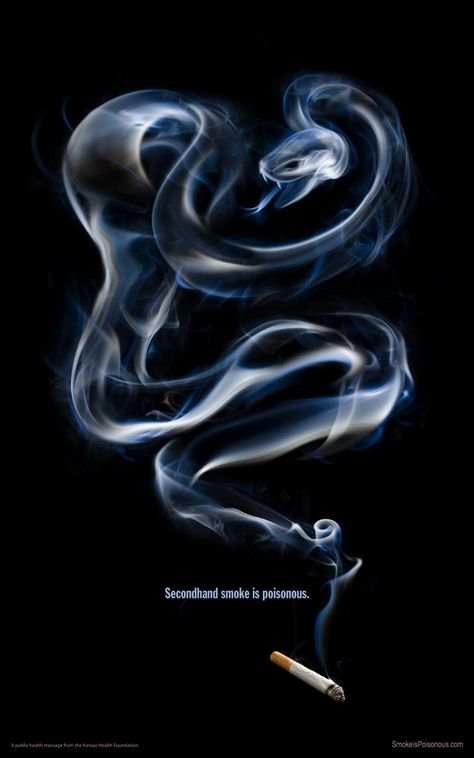 Smoke is Poisonous Snake Images, Moth Art, Snake Art, Advertising And Promotion, Snake Tattoo, Advertising Signs, Reduce Weight, Snakes, Kansas