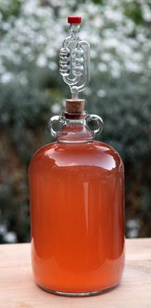 Rhubarb wine Rhubarb Wine Recipe, Mead Recipes, Rhubarb Wine, Homemade Syrups, Elderflower Recipes, Homemade Alcohol, Homemade Liquor, Wine Recipe, Make Your Own Wine