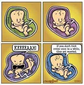 Ninja Kick Pregnant Cartoon, Hilarious Comics, Pregnancy Jokes, Pregnancy Memes, Pregnancy Hacks, Baby Kicking, Unborn Baby, I'm Pregnant, Pregnancy Quotes