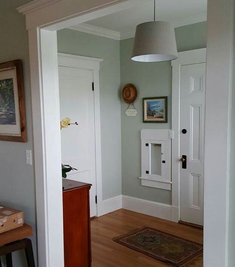 Valspar sparkling sage Valspar Sparkling Sage, Guest Room Paint, Valspar Paint Colors, Dutch Colonial Homes, Home Remodel Before And After, Interior Paint Colors Schemes, Colonial Home, Dutch Colonial, Kitchen Paint Colors