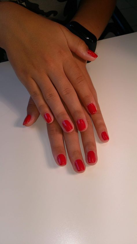 Shirt Red Nails, Basic Red Nails, Red Shirt Nails, Red Biab Nails, Red Gel Nails, Bright Red Nails, Oval Nails, Funky Nails, Red Shirt