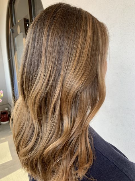 Hair Gloss Color Shades, Italian Brown Hair, Hot Toffee Blonde Hair, Eloise Mumme Hair, Lighter Front Hair Highlights, Warm Babylights, Honey Brown Hair Short, Brunettes Blonde Highlights, Warm Honey Highlights