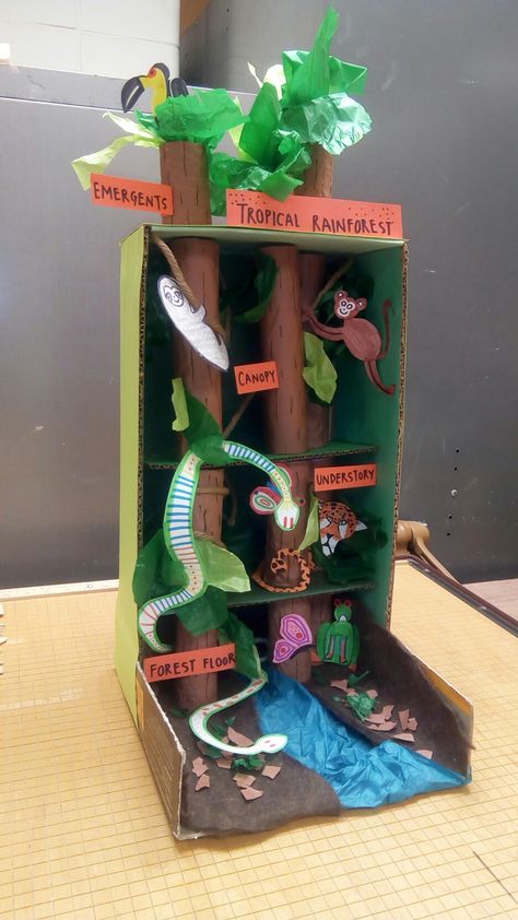 Tropical Rainforest Diorama Forest Habitat Project, Rainforest Diorama, Rainforest Preschool, Rainforest Classroom, Rainforest Crafts, Habitat Project, Rainforest Project, Biomes Project, Rainforest Activities