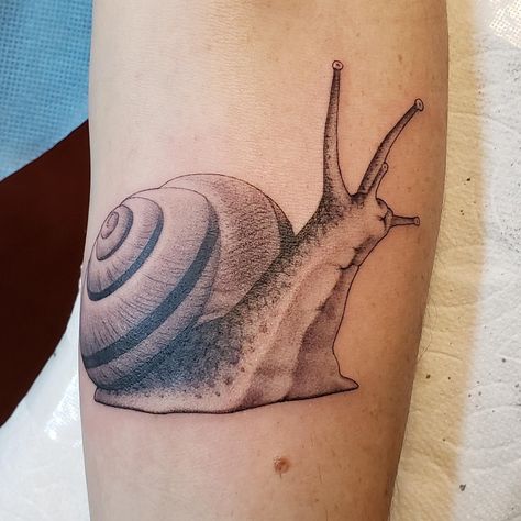 Botanical Tattoo Sleeve, Snail Tattoo, Ireland Tattoo, 7 Tattoo, Botanical Tattoo, Braid Hairstyles, Minimal Tattoo, Skin Art, Black And Grey Tattoos