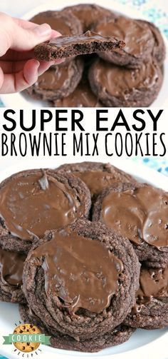 Easy Brownie Cookies are easily made with a brownie mix, butter and an egg and then frosted with a little bit of a melted Hershey bar. One of the easiest cookie recipes ever and they taste just like brownies…in cookie form! #cookies #chocolate #brownies #recipe #dessert #browniemix #yummy Easy Brownie Cookies, Chocolate Brownies Recipe, Brownie Mix Cookies, Easy Brownie, Pastas Recipes, Cake Mix Cookie Recipes, Easy Cheesecake Recipes, Hershey Bar, Chocolate Cookie Recipes