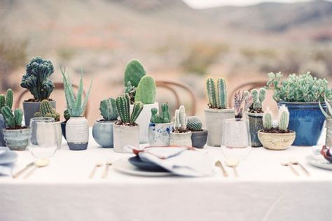 Cacti is the new Eucalyptus. Wedding Cactus, Wedding Table Planner, Cactus Centerpiece, Indigo Wedding, Event Centerpieces, Cactus Wedding, Cactus Party, Boda Mexicana, Wedding Floral Centerpieces