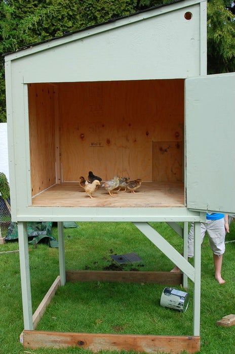 Build Your Own Chicken Coop, Easy Diy Chicken Coop, Chicken Coop Blueprints, Cheap Chicken Coops, Small Chicken Coops, Easy Chicken Coop, Chicken Coop Decor, Portable Chicken Coop, Diy Chicken Coop Plans