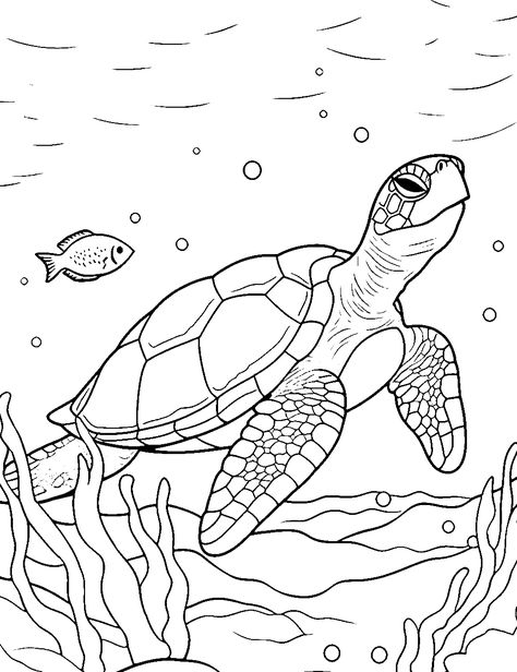 Turtle Coloring Pages Free Printable, Turtle Outline, Bobbie Goods Coloring Pages, Bobbie Goods Coloring, Animals Coloring Pages For Kids, Turtle Coloring, Ocean Coloring Pages, Printable Flower Coloring Pages, Coloring Pages Easy