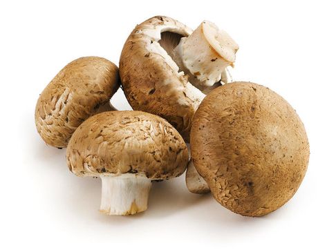 Types of Mushrooms in India | Mushroom Varieties Health Benefits Of Mushrooms, Cholesterol Free Recipes, Growing Mushrooms At Home, Barley Risotto, Mushroom Kits, Mushroom Benefits, Mushroom Grow Kit, Mushroom Stroganoff, Edible Mushrooms