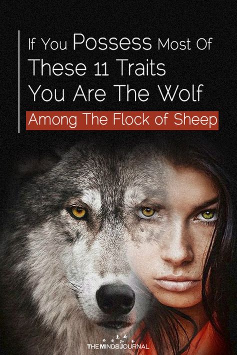 Lone Wolf Personality, Wolf Traits, Wolf Laying Down, Wolf Behavior, She Wolf Aesthetic, Wolf Magic Begin Now, Wolf Person, Alpha Wolf Tattoo, Wolf Personality