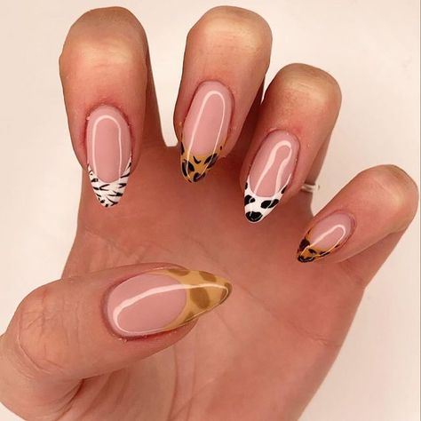 RVG NAIL s STUDIO on Instagram: "Otoño y tendencias 🔥🍁🍂  Inspiraciones 😍" Nails Safari Art Designs, Safari Acrylic Nails, Carin Leon Nails, Nails Acrylic Animal Print, Nail Art Animal Print French Tips, Pink Safari Nails, Animal Print Nail Tips, Safari Theme Nail Ideas, Wild Animal Nails