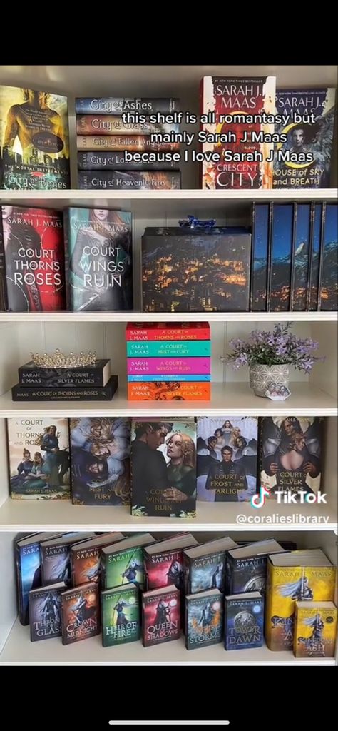 Acotar Bookshelf, Sarah J Maas Bookshelf, Acotar Room Decor, Fantasy Bookshelf Aesthetic, Bookshelves Fantasy Books, Sjm Bookshelf, Booktok Shelf Aesthetic, Book Room Ideas, Aesthetic Manga Bookshelf