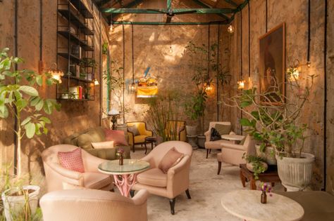 Hidden in the heart of Ubud, Bali’s spiritual and cultural capital, lies the LAZY CATS, a restaurant that doubles as a café, bar and gallery and that encourages Coffee House Cafe, Cat Bar, Cat Hotel, Love Cafe, Bookstore Cafe, Kitty Cafe, Cat Lounge, Cafe Ideas, Lazy Cat