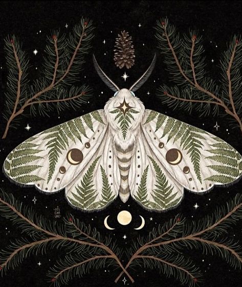 Mystery Art, White Moth, Fern Art, Moth Illustration, Nature Illustrations, Contemporary Folk Art, Moth Art, Autumn Illustration, Forest Illustration