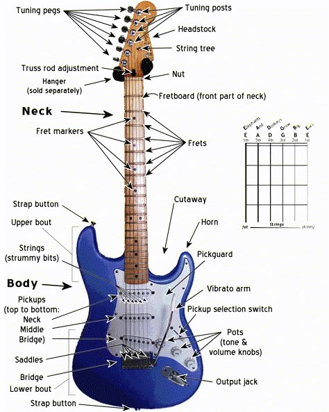 Strat Parts Names Guitar Knowledge, Guitar Techniques, Guitar Things, Ing Civil, Electric Guitar Lessons, Learn Guitar Chords, Funny Guitar, Guitar Lessons Songs, Guitar Tabs Songs