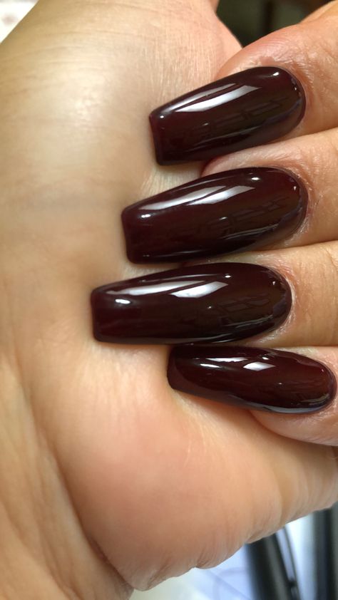 Dark Color Nails, Long Fingernails, Plain Nails, Red Manicure, Finger Nails, Nail Sets, Fashion Jackson, Dark Nails, Rainbow Nails