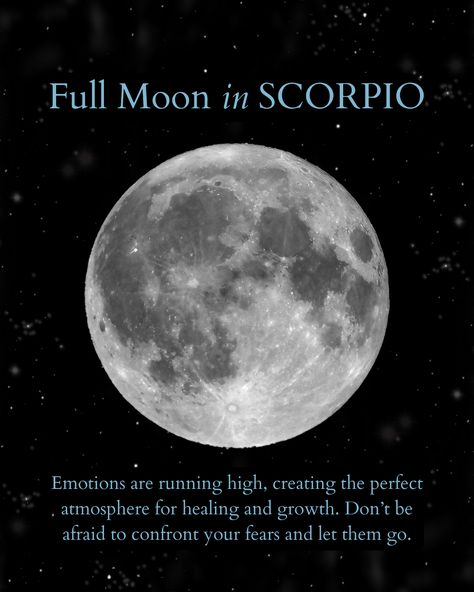 Full Moon in Scorpio : Emotions are running high, creating the perfect atmosphere for healing and growth. Don't be afraid to confront your fears and let them go. Follow for more Witchin' Studies 🌝 Full Moon In Scorpio Ritual, Scorpio Emotions, Full Moon Scorpio, Full Moon In Scorpio 2024, Full Moon In Capricorn 2024, Scorpio Full Moon, Full Moon In Scorpio, Pagan Life, Moon In Scorpio