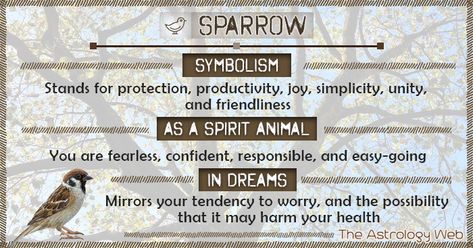 Sparrow Meaning, Bird Symbolism Meaning, Sparrow Symbolism, Bird Signs, Animal Totem Spirit Guides, Bird Symbolism, Small Wave Tattoo, Spirit Animal Meaning, Animal Meanings