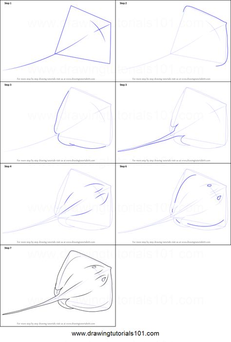 How to Draw a stingray step by step for seaglass Sea Creatures Drawing, Fish Sketch, Ocean Drawing, Sea Drawing, Drawn Fish, Rock Painting Tutorial, Fish Drawings, Drawing Lessons, Book Art Drawings