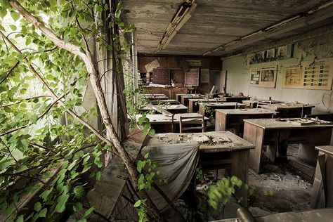 Trees grow in an abandoned Pripyat school. Today, nature is slowly dismantling the city, thriving among the evacuated homes and buildings and standing in stark contrast to the fear-plagued lives of the people who survived the disaster. (Photo: Gerd Ludwig) Abandoned Classroom, Chernobyl Today, Abandoned Place, Chernobyl Nuclear Power Plant, National Geographic Photographers, Abandoned City, Chernobyl Disaster, Urban Exploring, Nuclear Disasters