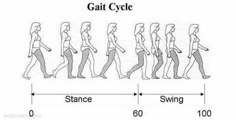 25 Best Walk Cycle Animation Videos and keyframe illustrations | Read full article: http://webneel.com/walk-cycle-animation | more http://webneel.com/animation | Follow us www.pinterest.com/webneel Walk Cycle Reference, Leg Types, Animation Walk Cycle, Cycle Drawing, Gait Cycle, Side View Drawing, Walking Animation, Walking Poses, Walk Cycle