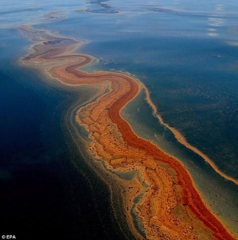 Deepwater Horizon Oil Spill, Deepwater Horizon, Oil Pollution, Marine Pollution, Sea Floor, Ocean Pollution, Oil Well, Water Pollution, Oil Spill