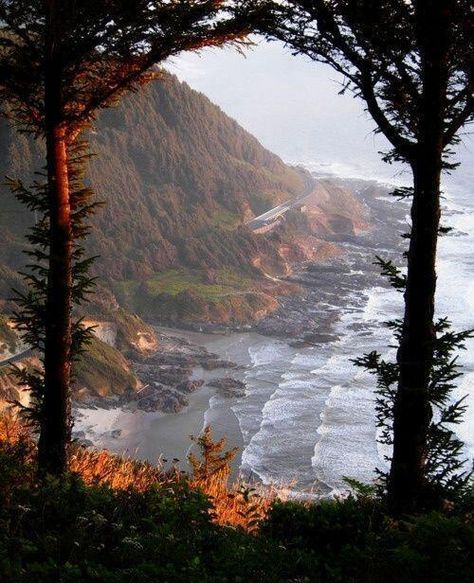 Oregon Sights, 숲 사진, Gods Creation, A Hill, Oregon Coast, Pretty Places, Narnia, Places I Want To Go, Vacation Spots