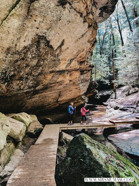 Hocking Hills with Kids + a Baby | Hocking Hills Family Trip | The Every Things Mrs Mumaw : Fort Wayne Lifestyle, Travel & Mommy Blogger Cedar Falls Hocking Hills, Hocking Hills With Kids, Ohio Hiking, Ohio State Parks, Hocking Hills Ohio, Hocking Hills State Park, Climbing Mountains, Ohio Travel, Family Hiking