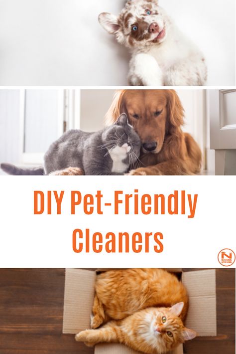 DIY Pet-Friendly Cleaners Linoleum Cleaner, Diy Cleaning Recipes, Bathroom Spray, Diy Cleaning Products Recipes, Pet Wipes, Homemade Cleaners, Gutter Cleaning, Eco Friendly Cleaning Products, Cats Pet